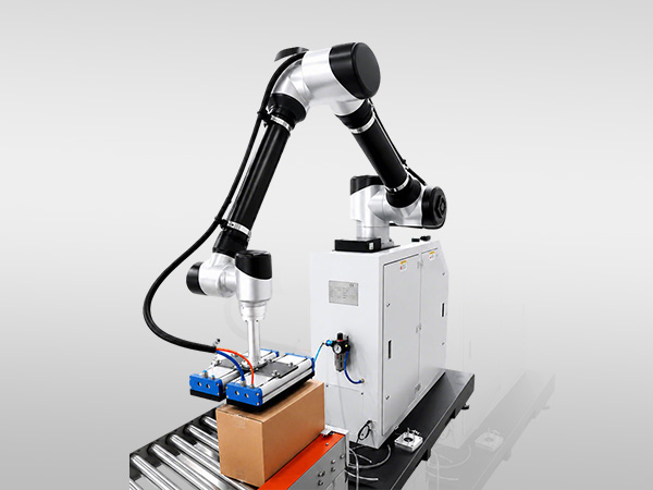 Palletizing Robot